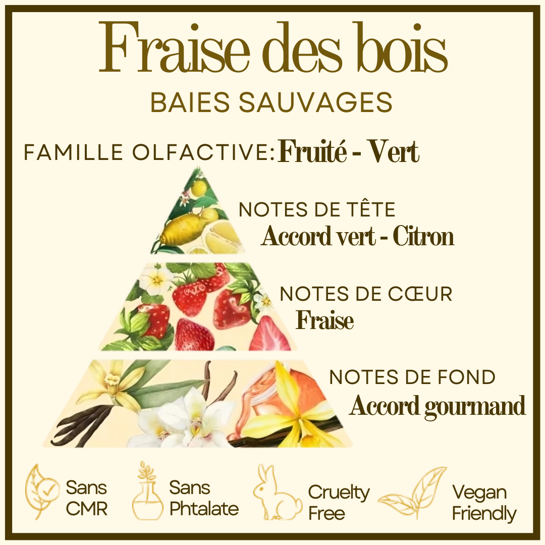 Fraise des bois Cocon de cire