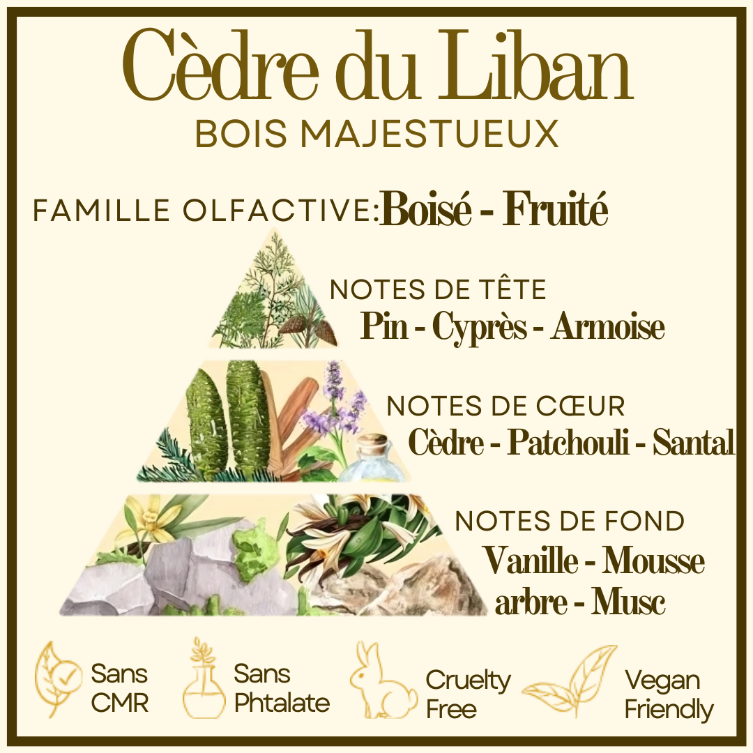 Cèdre du Liban Cocon de cire