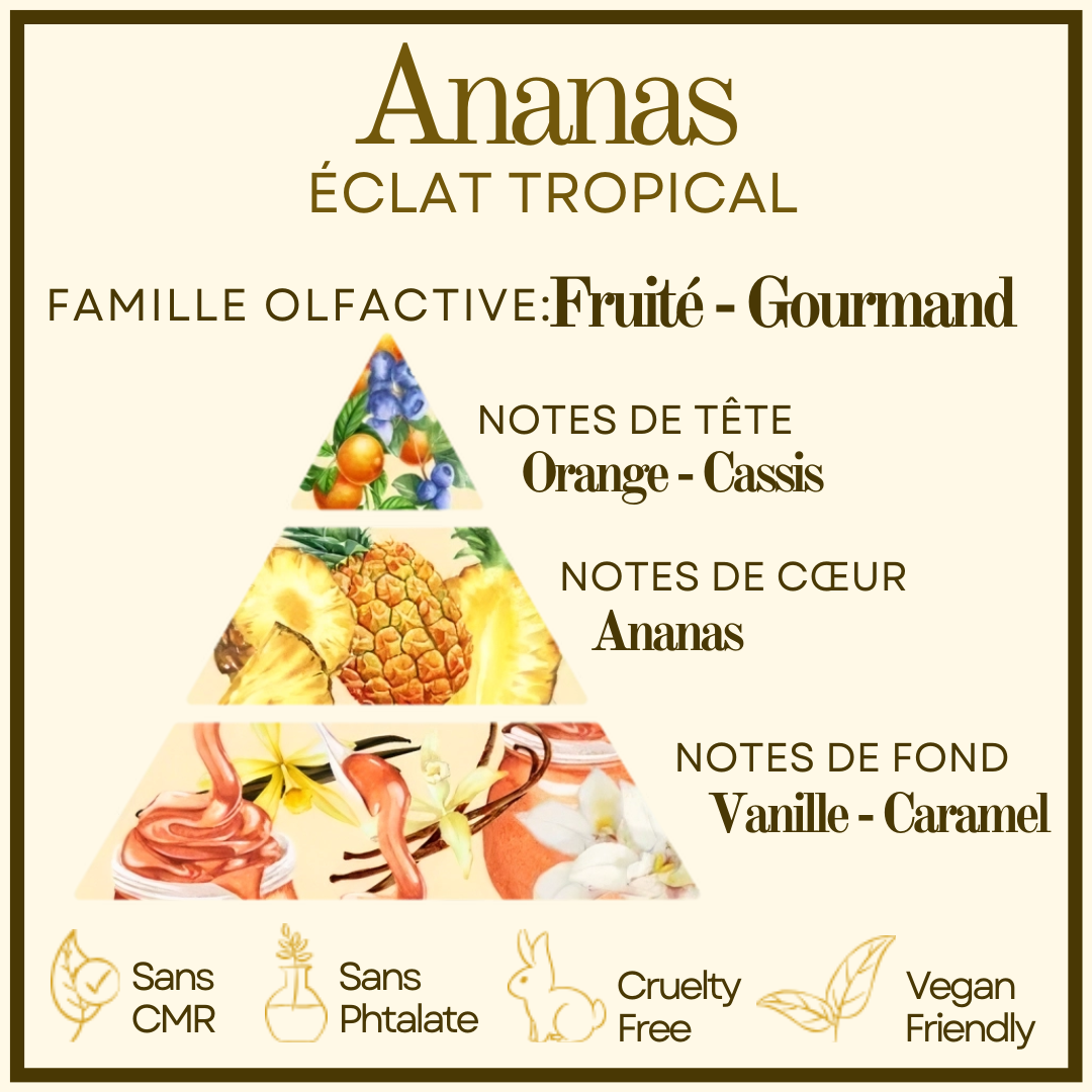 Bougie Authentique Ananas Cocon de cire