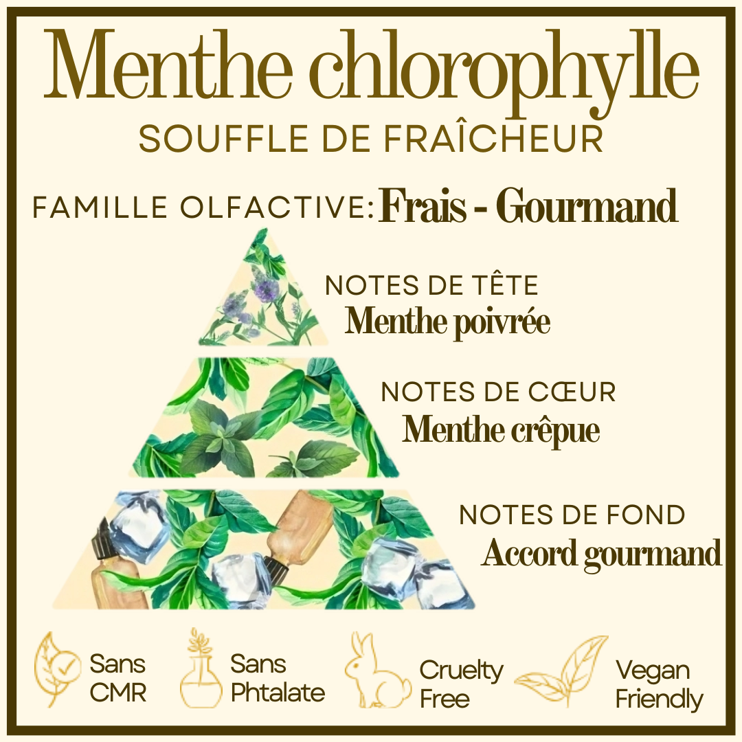 Menthe chlorophylle Cocon de cire