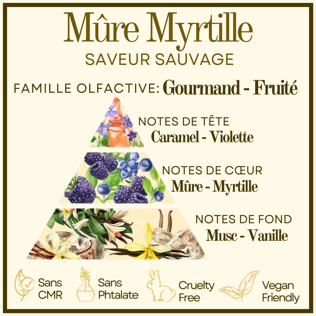 Bougie gourmande Mûre Myrtille Cocon de cire