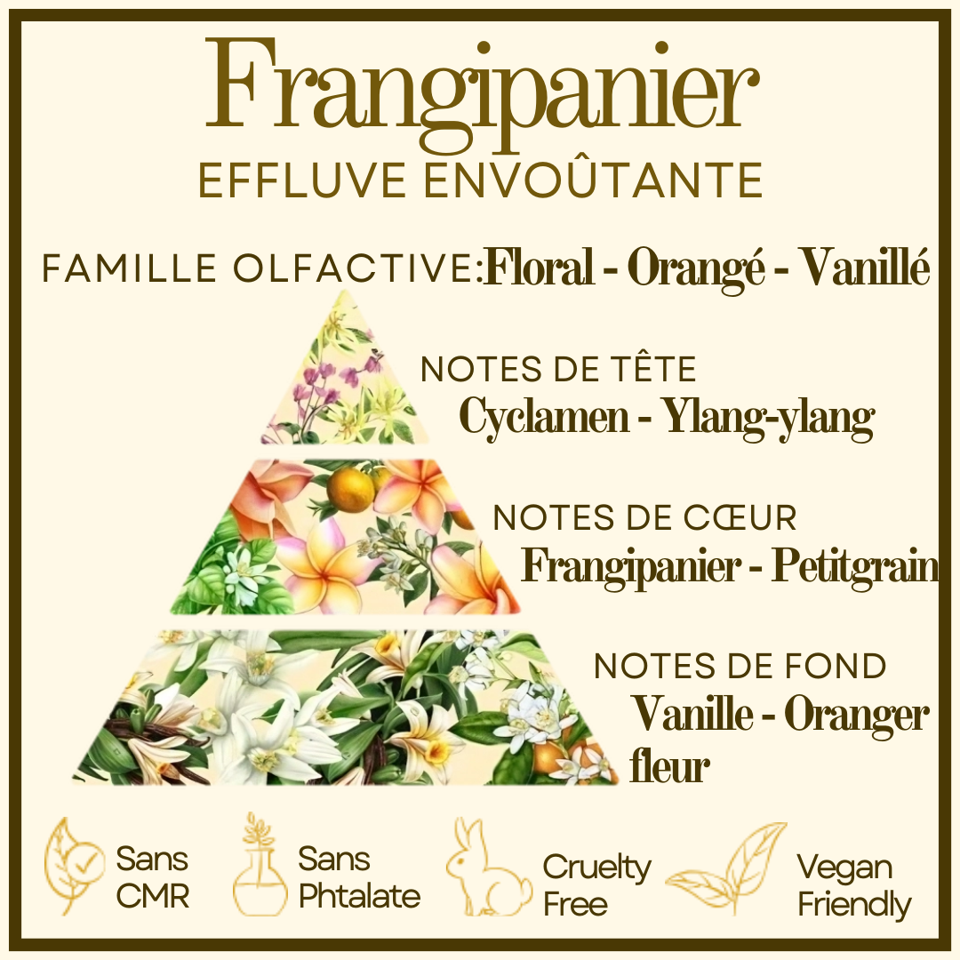 Frangipanier Cocon de cire