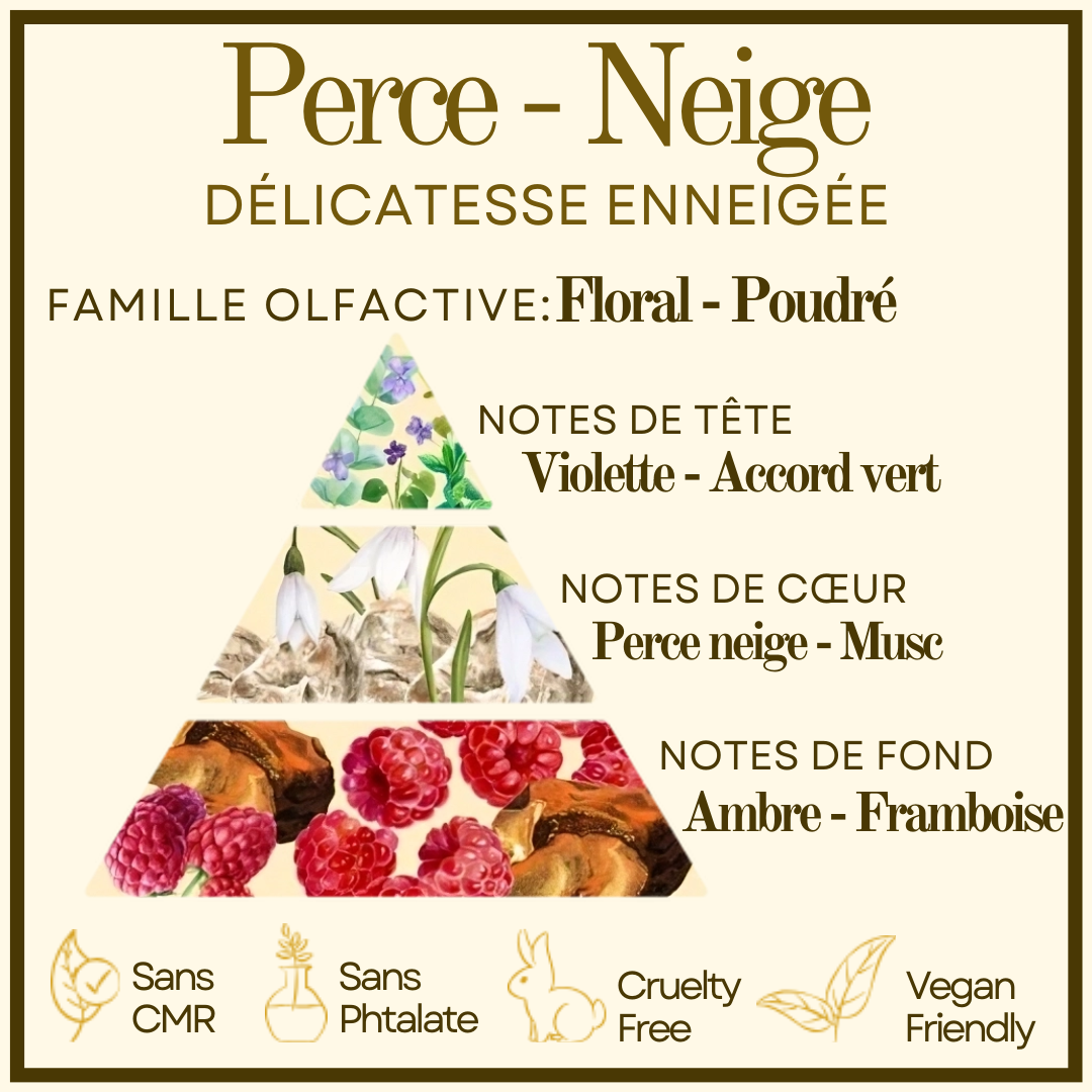 Perce-Neige Cocon de cire