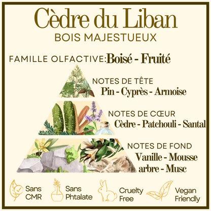 Cèdre du Liban Cocon de cire