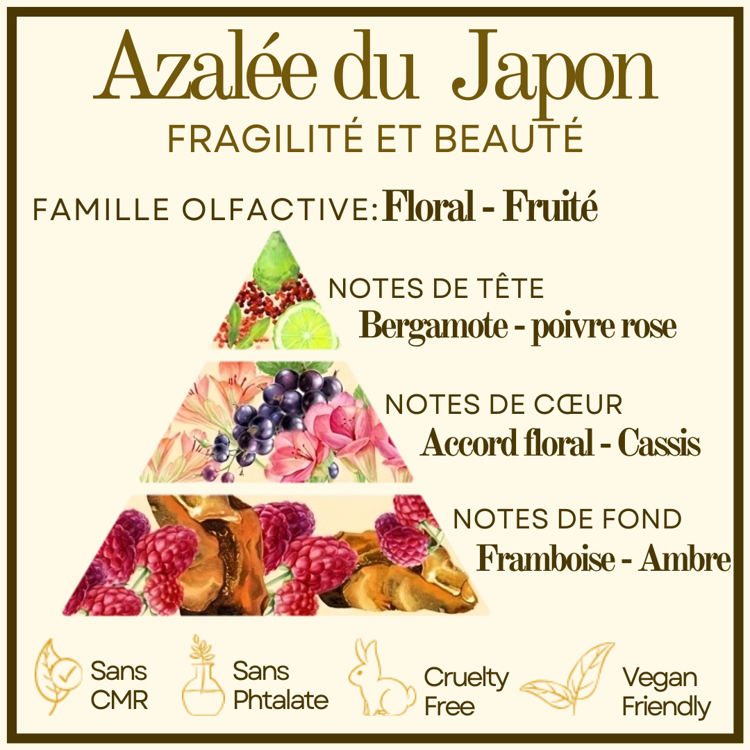Azalée du Japon Cocon de cire