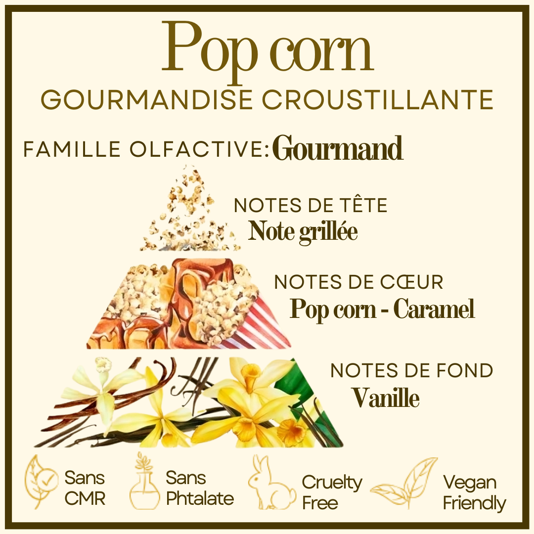Macaron Pop Corn Cocon de cire