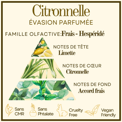 Bougie gourmande Citronnelle Cocon de cire