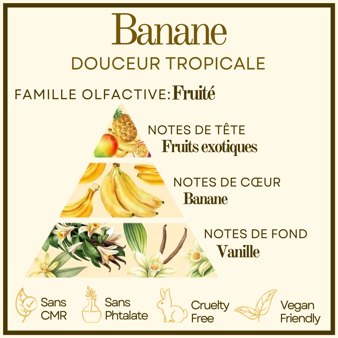 Macaron Banane Cocon de cire