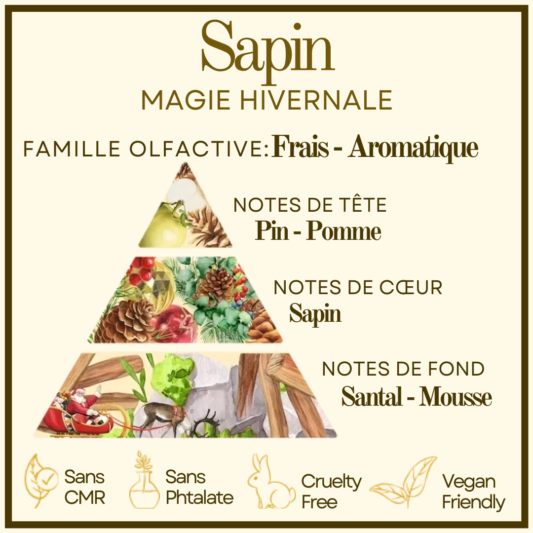 Macaron Sapin Cocon de cire