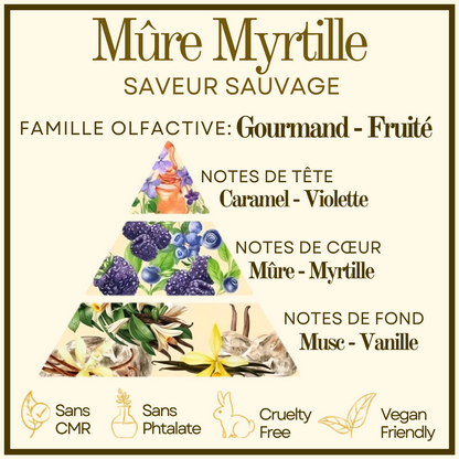 Bougie gourmande Mûre Myrtille Cocon de cire