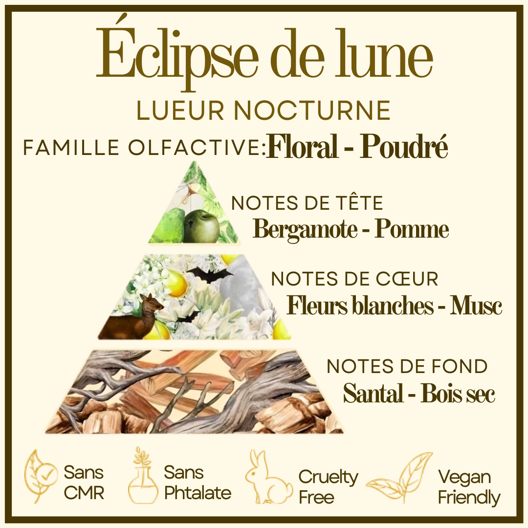 Macaron Éclipse de lune Cocon de cire