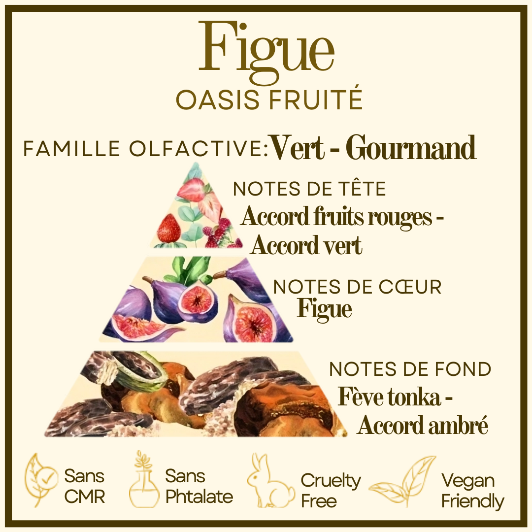 Bougie gourmande Figue Cocon de cire