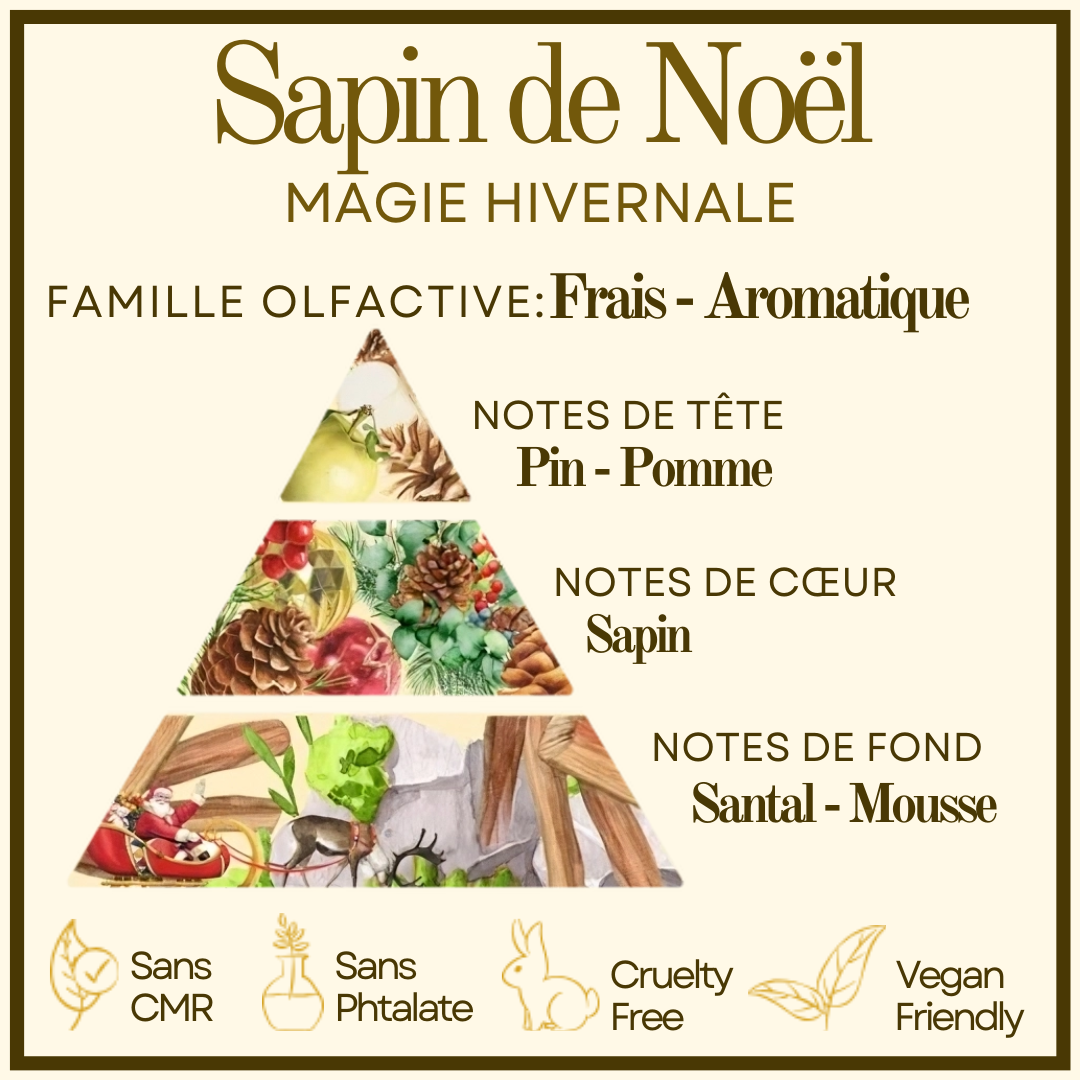 Mon Beau Sapin - Sapin de Noël Cocon de cire