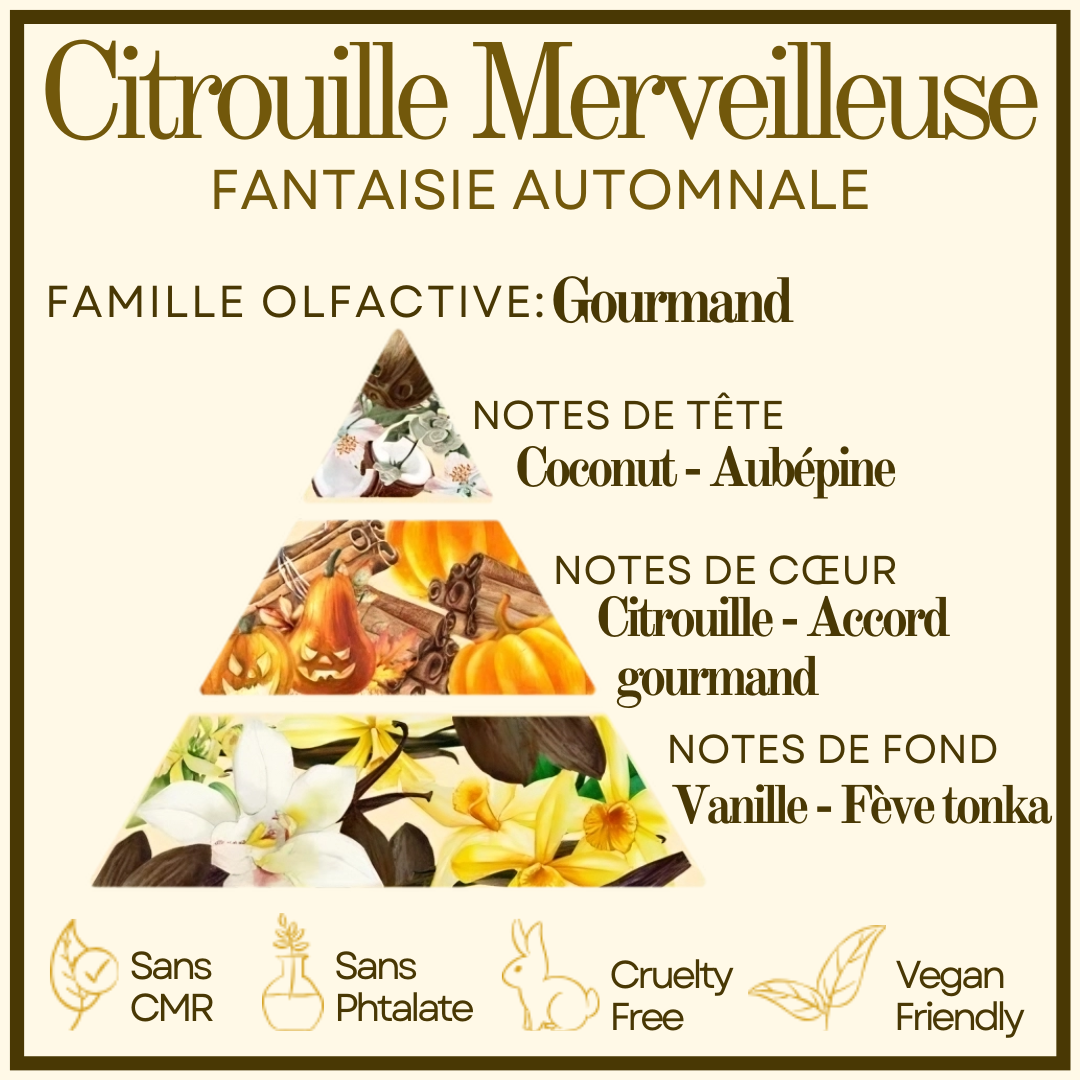 Bougie Citrouille Merveilleuse Cocon de cire