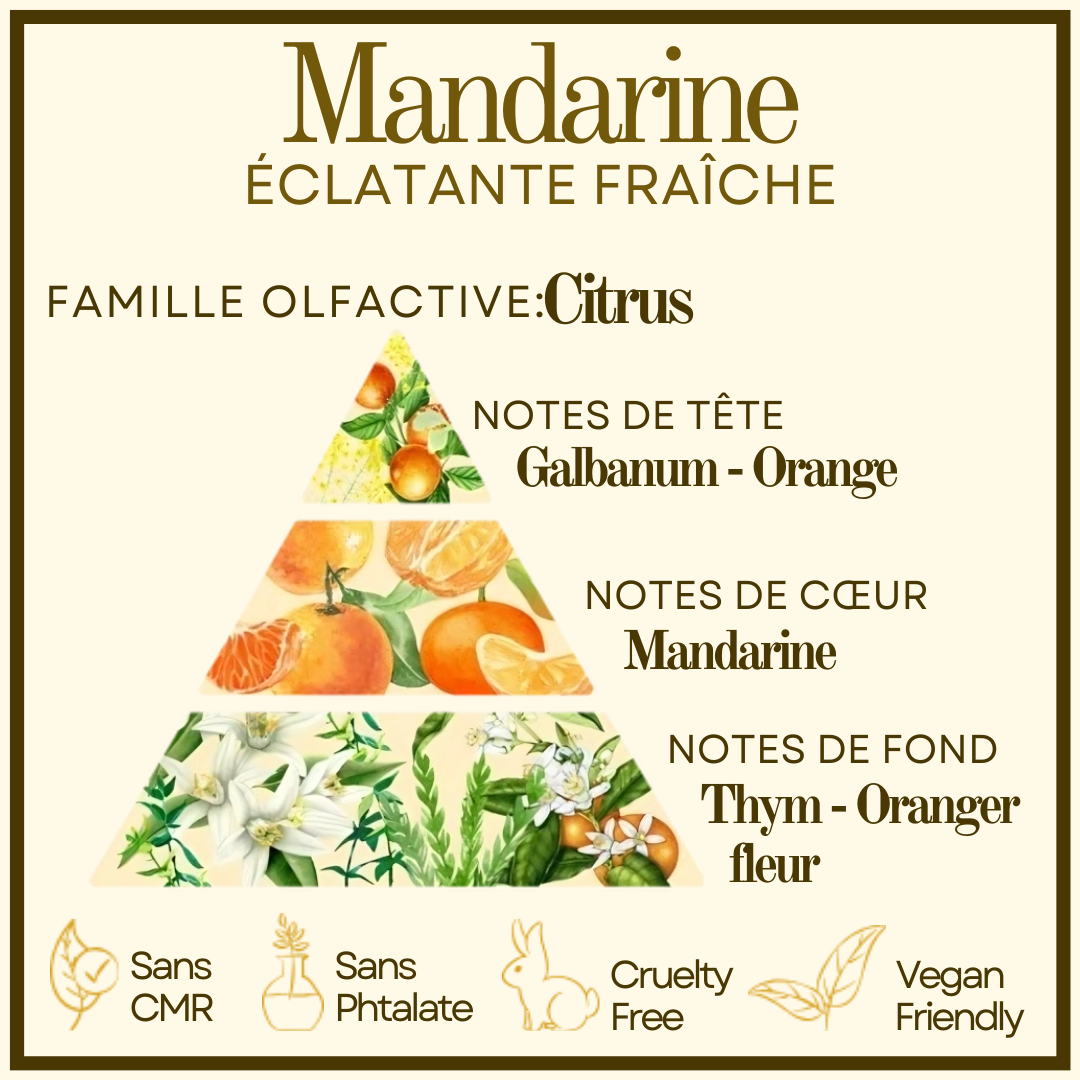 Éclat de Noël - Mandarine Cocon de cire
