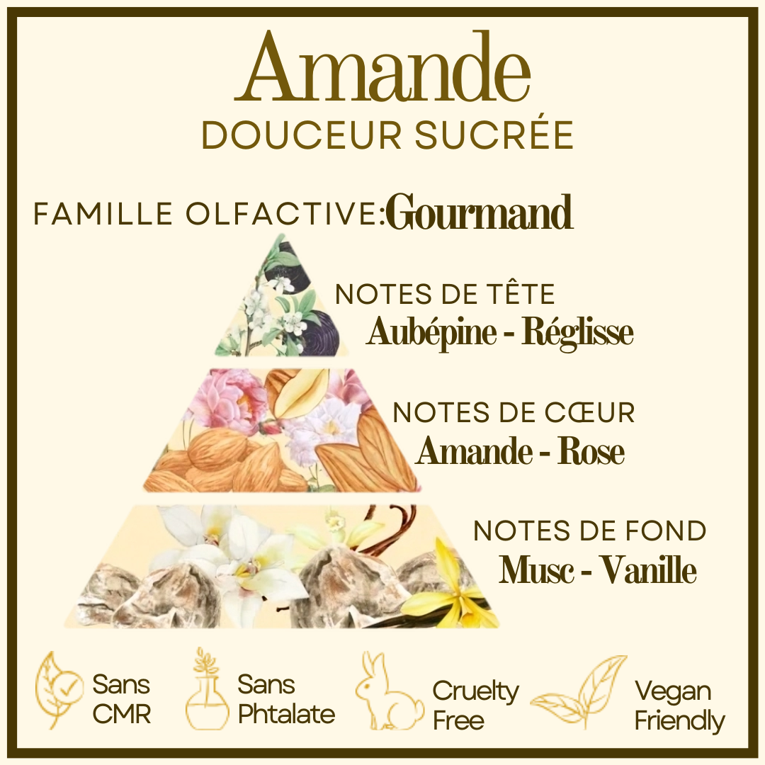 Bougie gourmande Amande Cocon de cire