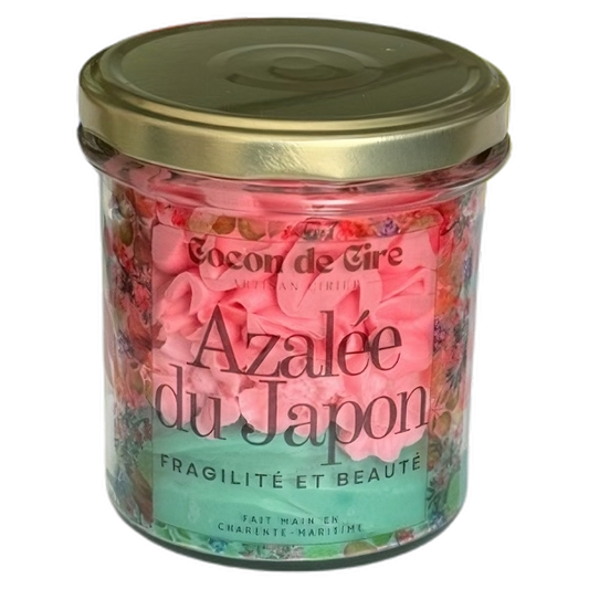 Azalée du Japon Cocon de cire