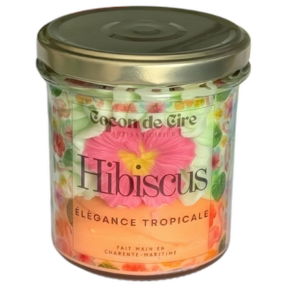 Hibiscus Cocon de cire