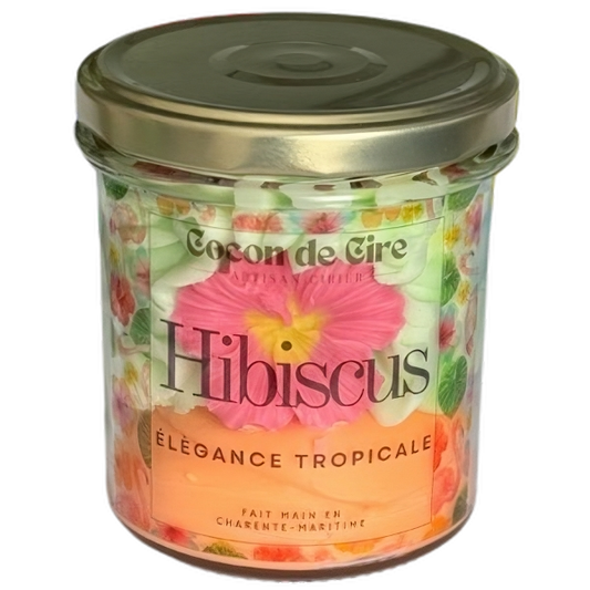 Hibiscus Cocon de cire