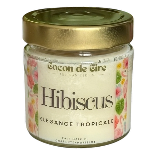 Hibiscus Cocon de cire