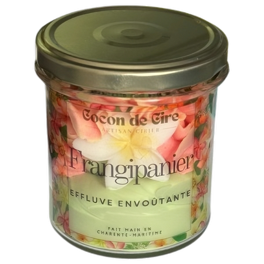 Frangipanier Cocon de cire